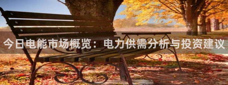 2元彩票2平台注册：今日电能市场概览：电力供需分析与投资建议