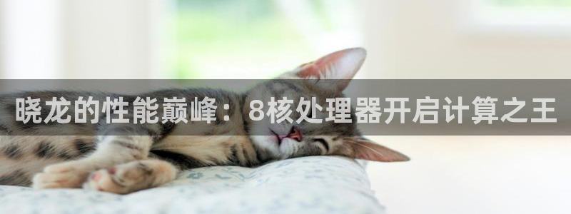 2元彩票4开户：晓龙的性能巅峰：8核处理器开启计算之王
