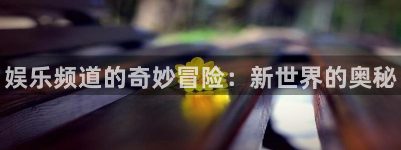 2元彩票平台注册入口：娱乐频道的奇妙冒险：新世界的奥秘
