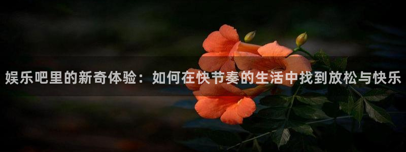 2元彩票3登陆：娱乐吧里的新奇体验：如何在快节奏的生活中找到放松与快乐