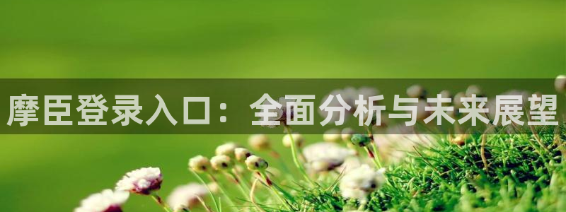 2元彩票3官网登录：摩臣登录入口：全面分析与未来展望