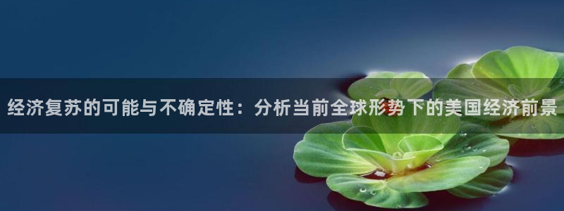 2元彩票体育3：经济复苏的可能与不确定性：分析当前全球形势下的美国经济前景