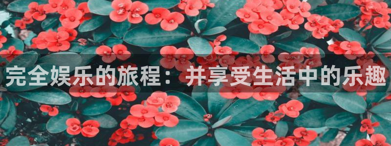 2元彩票体育eon：完全娱乐的旅程：并享受生活中的乐趣