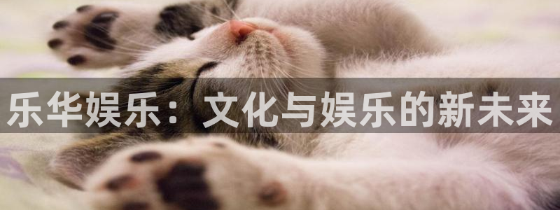 2元彩票3平台注册：乐华娱乐：文化与娱乐的新未来