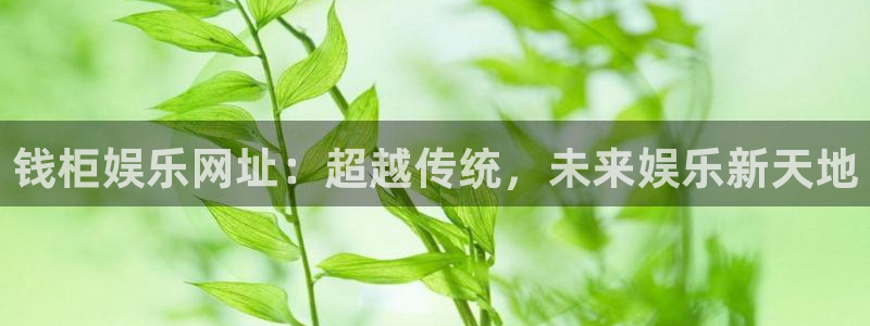 2元彩票包怎么样：钱柜娱乐网址：超越传统，未来娱乐新天地