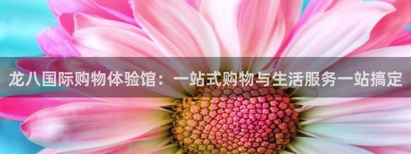 2元彩票4登录：龙八国际购物体验馆：一站式购物与生活服务一站搞定