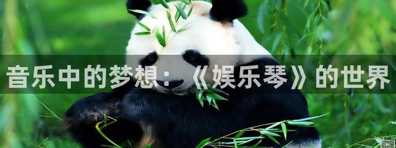2元彩票k：音乐中的梦想：《娱乐琴》的世界