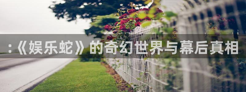 2元彩票登录：:《娱乐蛇》的奇幻世界与幕后真相
