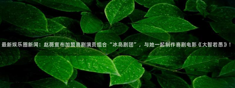 2元彩票体育娱乐注册链接：最新娱乐圈新闻：赵薇宣布加盟喜剧演员组合“冰岛剧团”，