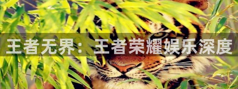 2元彩票体育官网登录：王者无界：王者荣耀娱乐深度