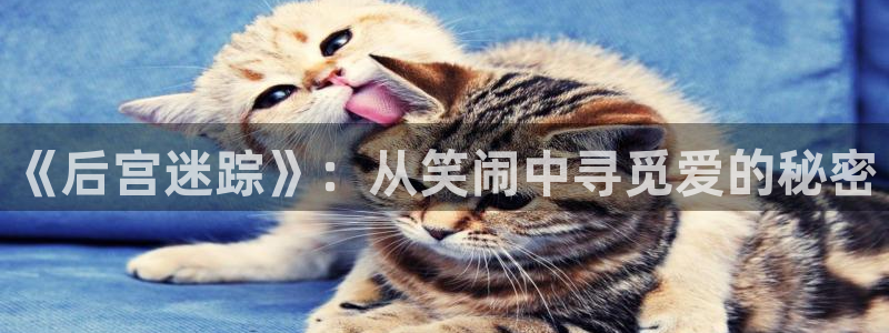 2元彩票体育凯捷平台主管：《后宫迷踪》：从笑闹中寻觅爱的秘密
