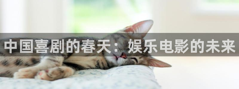 2元彩票平台总代理：中国喜剧的春天：娱乐电影的未来