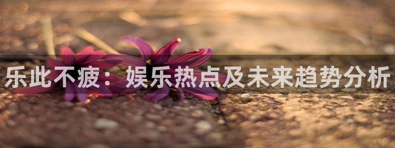2元彩票体育网页版入口：乐此不疲：娱乐热点及未来趋势分析