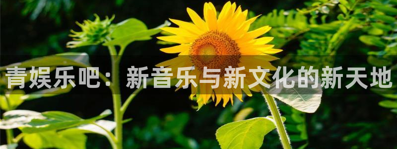 2元彩票登录界面入口：青娱乐吧：新音乐与新文化的新天地