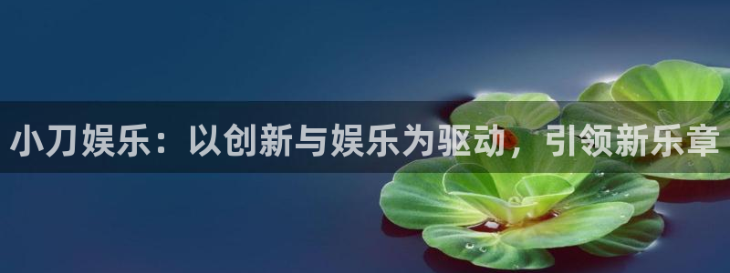 2元彩票k：小刀娱乐：以创新与娱乐为驱动，引领新乐章