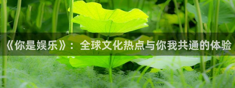 2元彩票登录界面入口：《你是娱乐》：全球文化热点与你我共通的体验