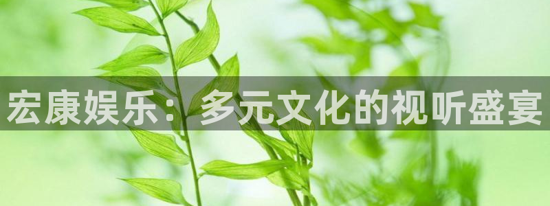 上海2元彩票汽车电子有限公司：宏康娱乐：多元文化的视听盛宴