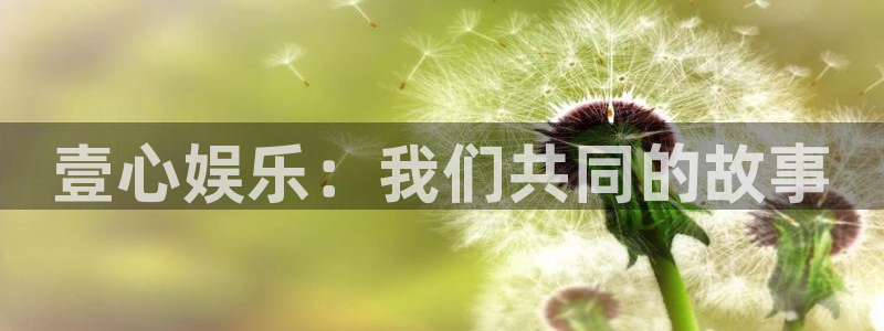 2元彩票2平台注册：壹心娱乐：我们共同的故事