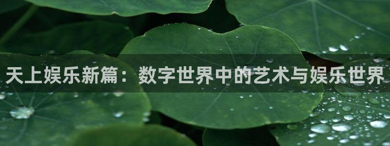 2元彩票：天上娱乐新篇：数字世界中的艺术与娱乐世界