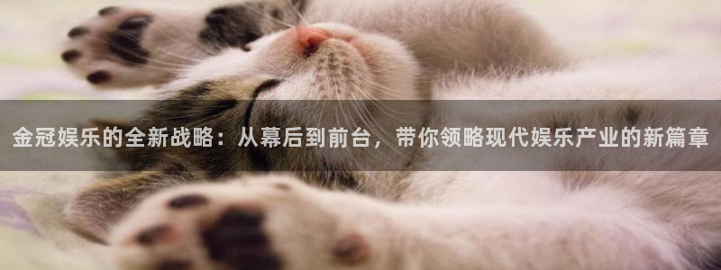 2元彩票3：金冠娱乐的全新战略：从幕后到前台，带你领略现代娱乐产业的新篇章