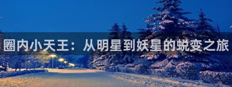 2元彩票凯捷平台注册链接：圈内小天王：从明星到妖星的蜕变之旅
