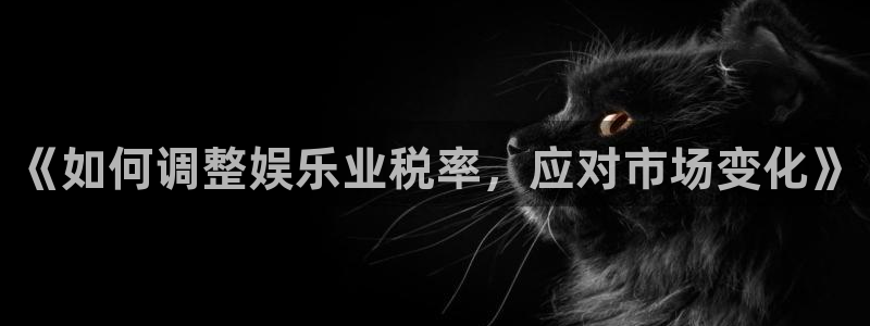 2元彩票集团总部：《如何调整娱乐业税率，应对市场变化》
