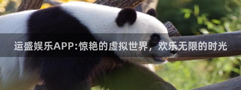 2元彩票体育1招商：运盛娱乐APP:惊艳的虚拟世界，欢乐无限的时光